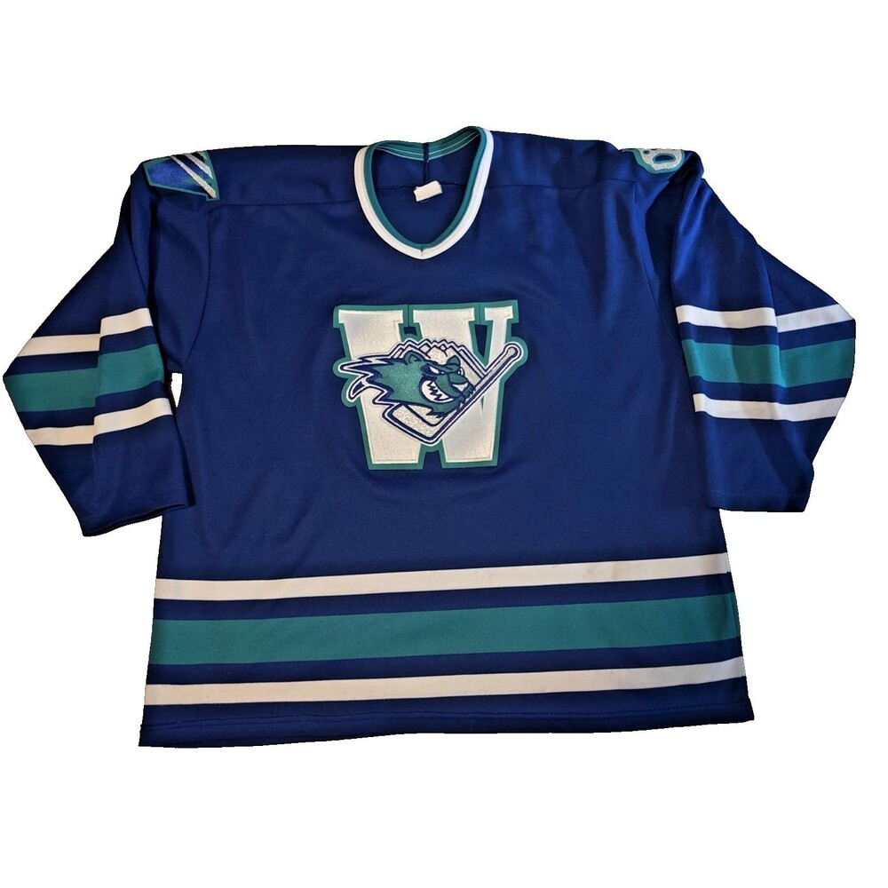AHL Worcester IceCats Blank Blue CCM Jersey Size XXL Vintage 90’s RARE